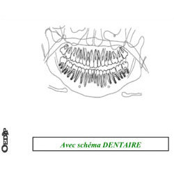 Dossiers Oedip Standard 20 x 12,5 cm par 500