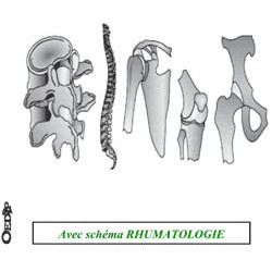 Dossiers Oedip Standard 20 x 12,5 cm par 500