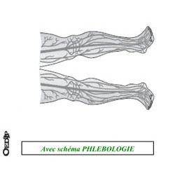 Dossiers Oedip Standard 20 x 12,5 cm par 500