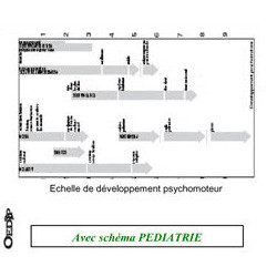 Dossiers Oedip Standard 20 x 12,5 cm par 500