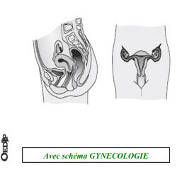 Dossiers Oedip Standard 20 x 12,5 cm par 500