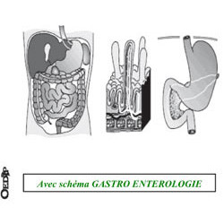 Dossiers Oedip Standard 20 x 12,5 cm par 500