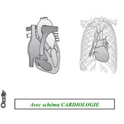 Dossiers Oedip Europa 21x15 cm par 500